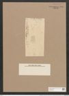 Pleurosigma balticum var. californicum (Ehr.) W.Sm. (de-Toni-Nr.: Genus 13, Species 1063) Zeichnungen Sammlung Grunow Nr. 1914 (NHMW-BOT-W0369038)